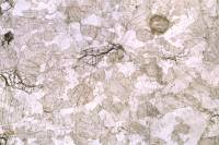 Gabbro rubané LPNA x3,5